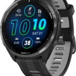 Garmin Forerunner 965 Black/Powder Gray